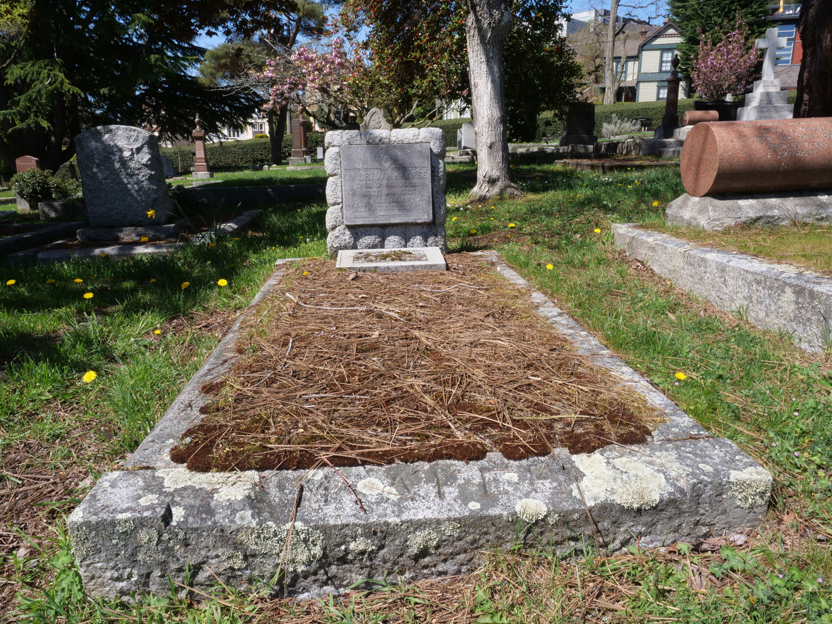 The grave of Andrew McAfee (died November 1909, aged 44) in Ross Bay Cemetery, Victoria, B.C. [photo: Vancouver & Quadra Lodge No. 2 Historian]