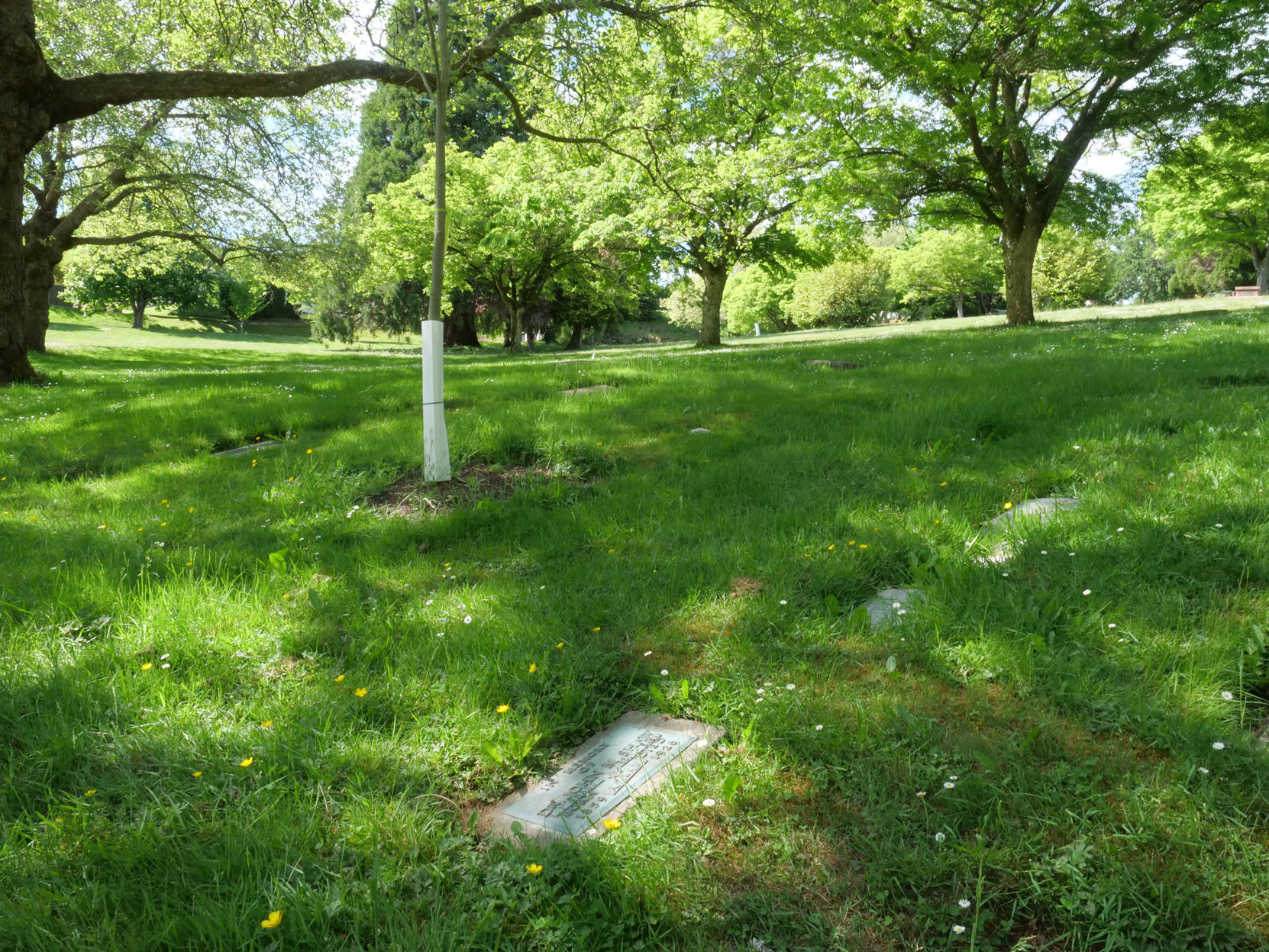 The grave of Dr. John Milton Shaw (1859-1926) in Royal Oak Burial Park, Saanich, B.C. [photo: Vancouver & Quadra Lodge No. 2 Historian]