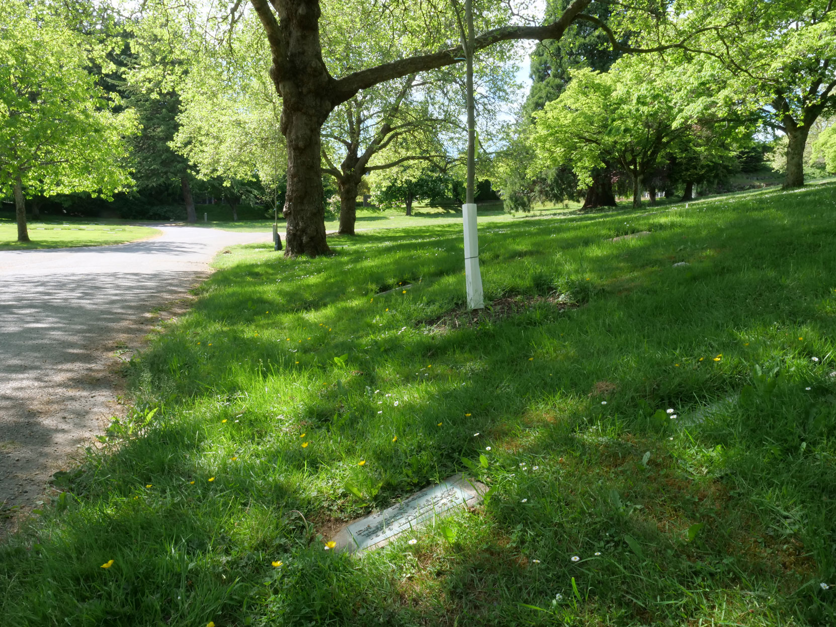 The grave of Dr. John Milton Shaw (1859-1926) in Royal Oak Burial Park, Saanich, B.C. [photo: Vancouver & Quadra Lodge No. 2 Historian]