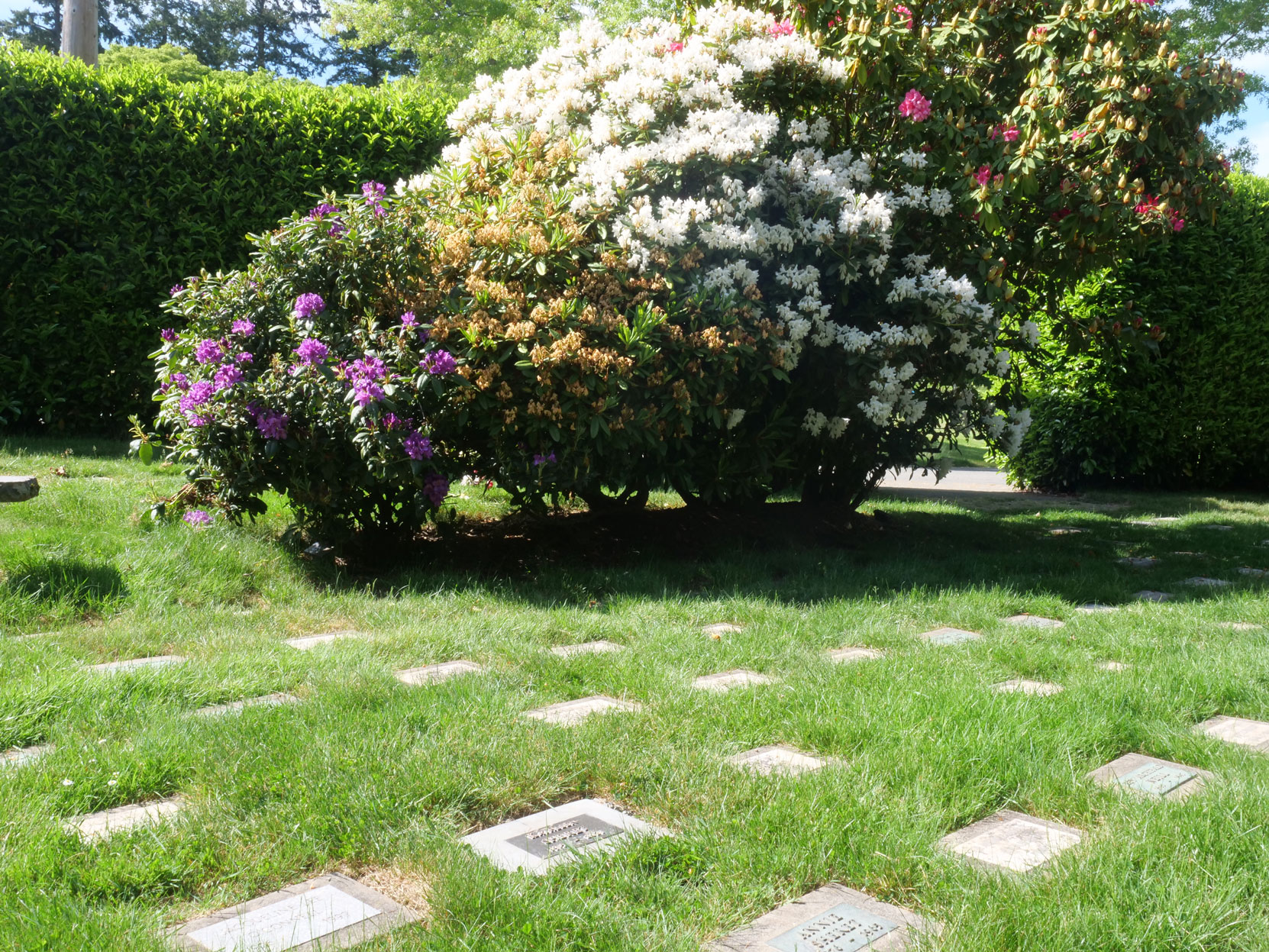 Andrew Sheret grave, Royal Oak Burial Park, Saanich, B.C. [photo: Vancouver & Quadra Lodge No. 2 Historian]