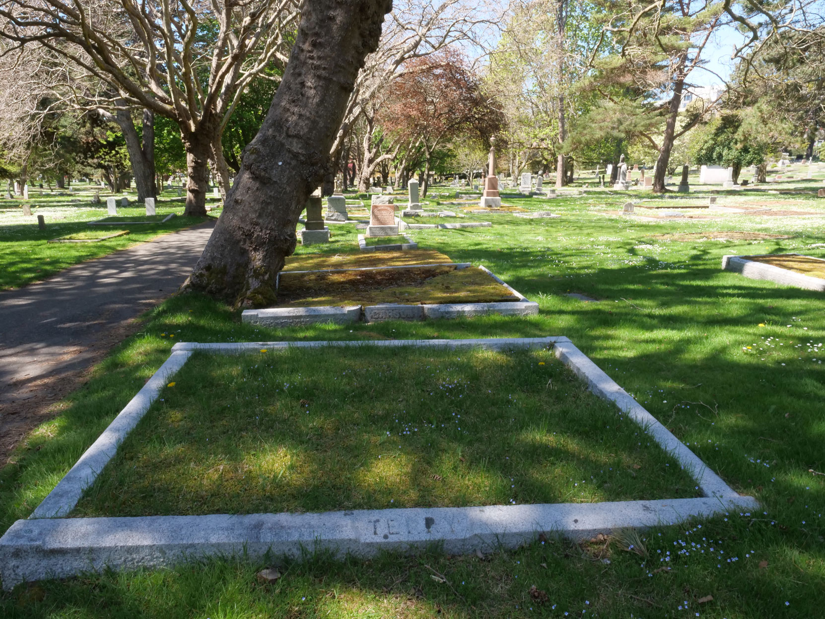 The grave of Wallace Samuel Utley Terry, Past Grand Master, in Ross Bay Cemetery, Victoria, B.C, [photo: Vancouver & Quadra Lodge No. 2 Historian]