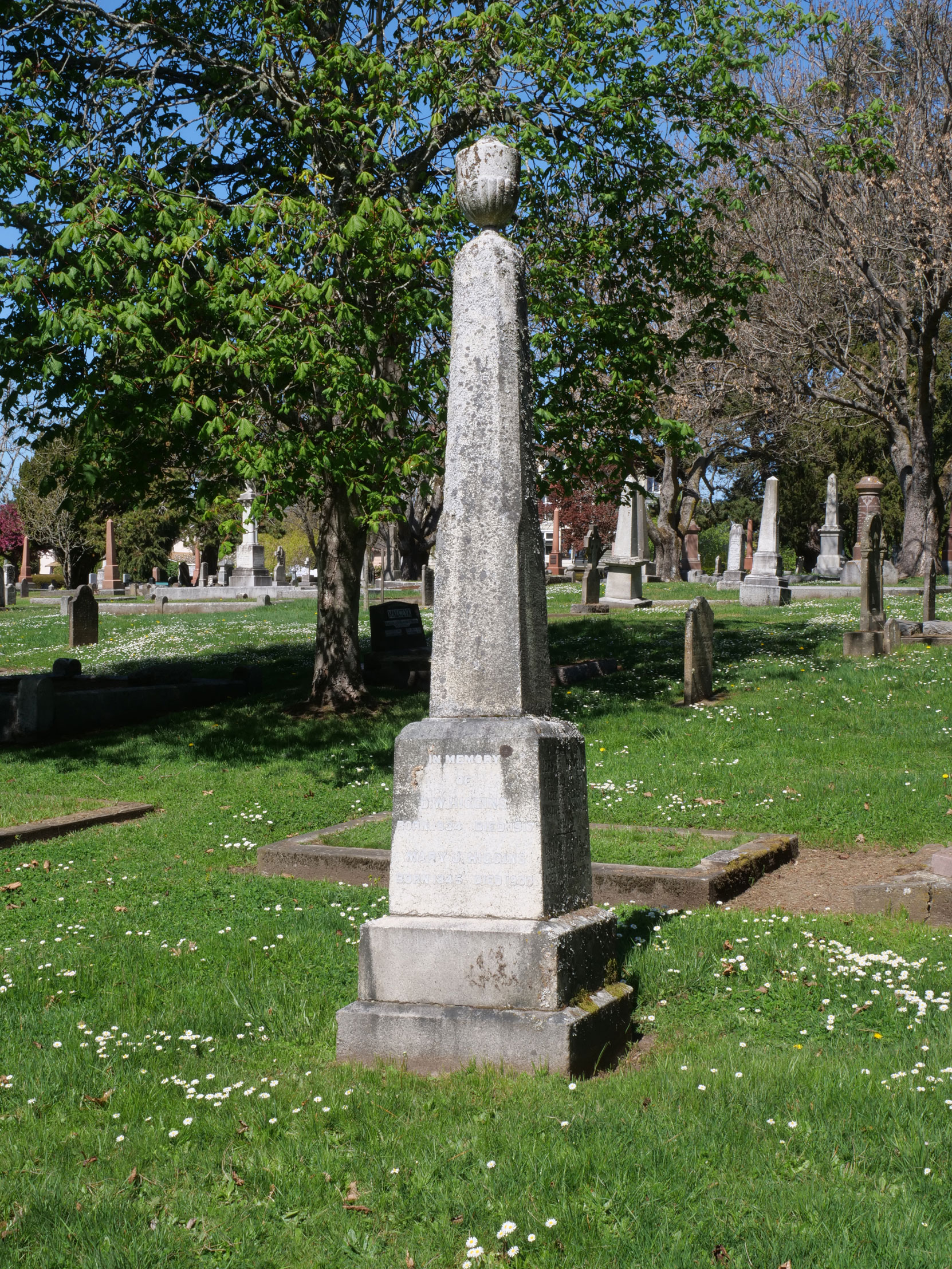 The grave of David William Higgins and his family in Ross Bay Cemetery, Victoria, B.C. [photo: Vancouver & Quadra Lodge No. 2 Historian]