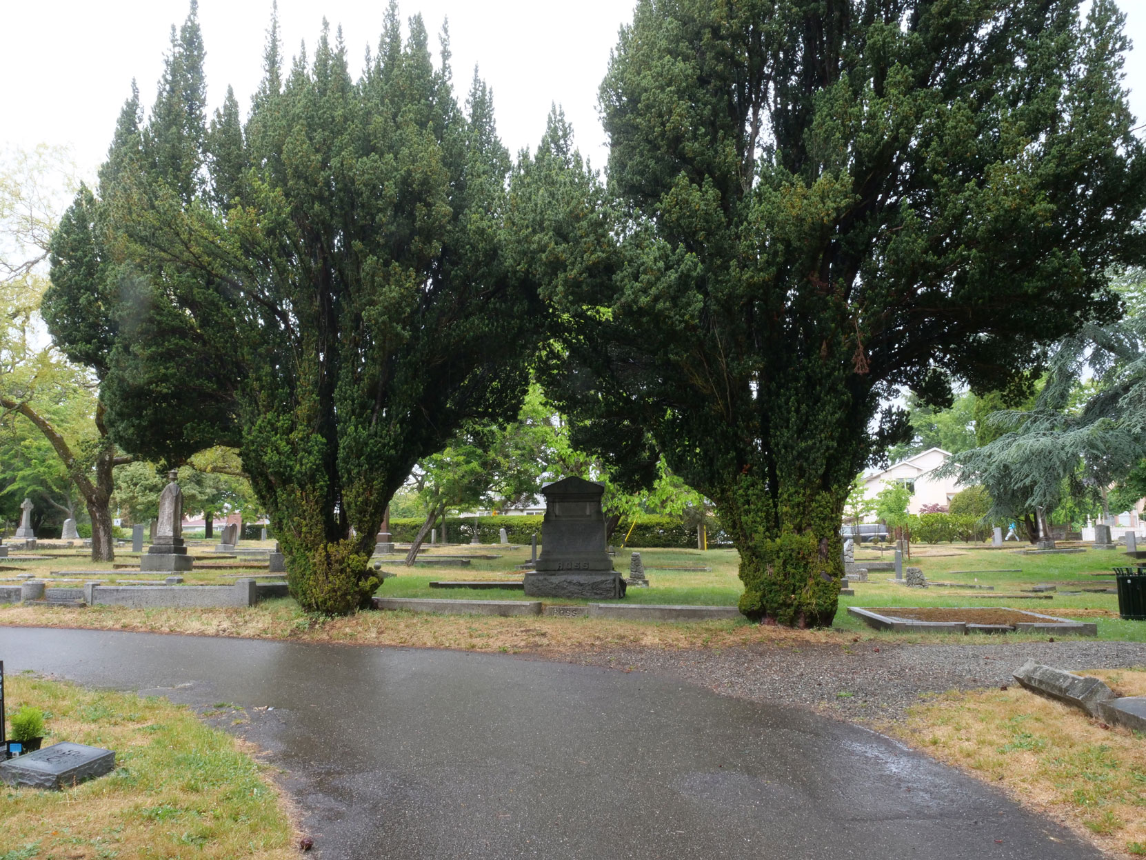 The grave of Dixi Harrison Ross (1852-1899) in Ross Bay Cemetery, Victoria, B.C. [photo: Vancouver & Quadra Lodge No. 2 Historian]