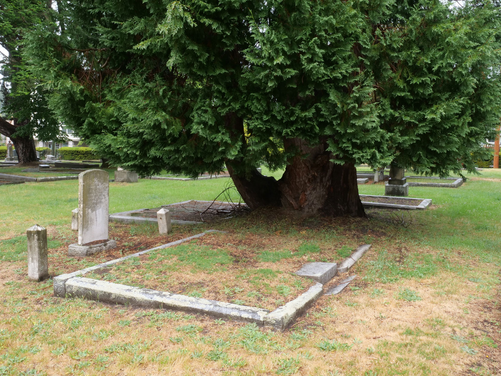 The grave of John Teague (1833-1902) in Ross Bay Cemetery, Victoria, B.C. [photo: Vancouver & Quadra Lodge No. 2 Historian]